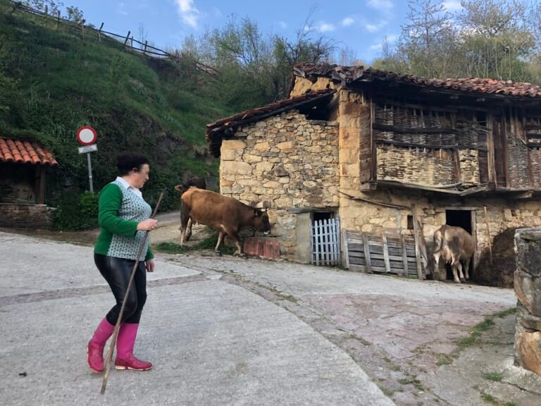 Una vecina guardando las vacas en su cuadra después de tenerlas el día pastando. CC-BY-SA 4.0